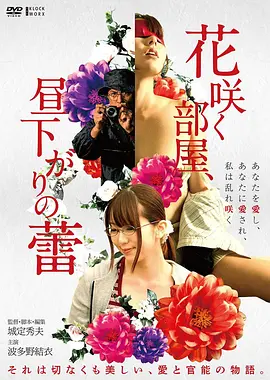99电影院在线观看《长风渡口》高清完整版
